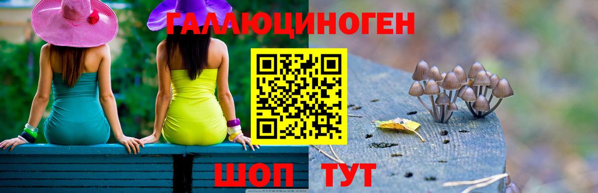 Майкоп  Галлюциногенные грибы GOLDEN TEACHER  Вход с VPN 